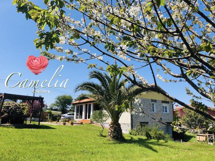 Вилла Camelia Casina Rural Альбуэрне Экстерьер фото